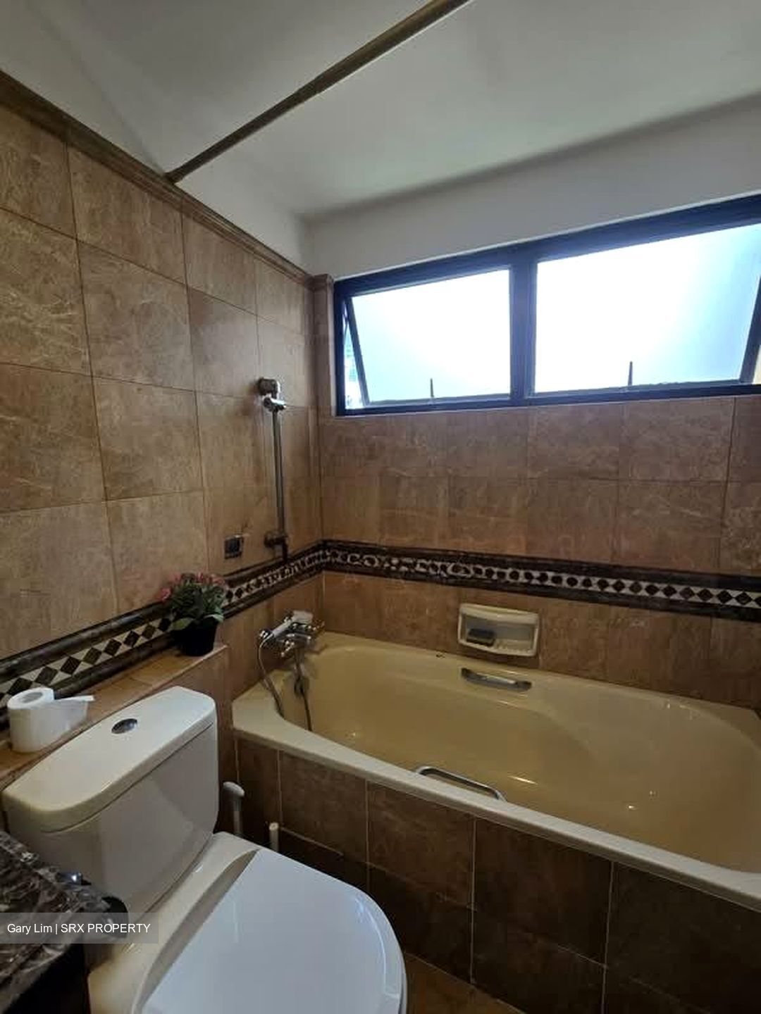 Dover Parkview (D5), Condominium #563741531